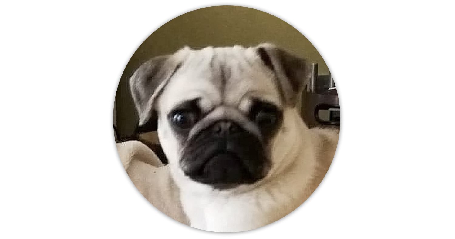 portraits-animaliers-oslo-philippehardouin-graphiste-graphiste-lemans-alençon