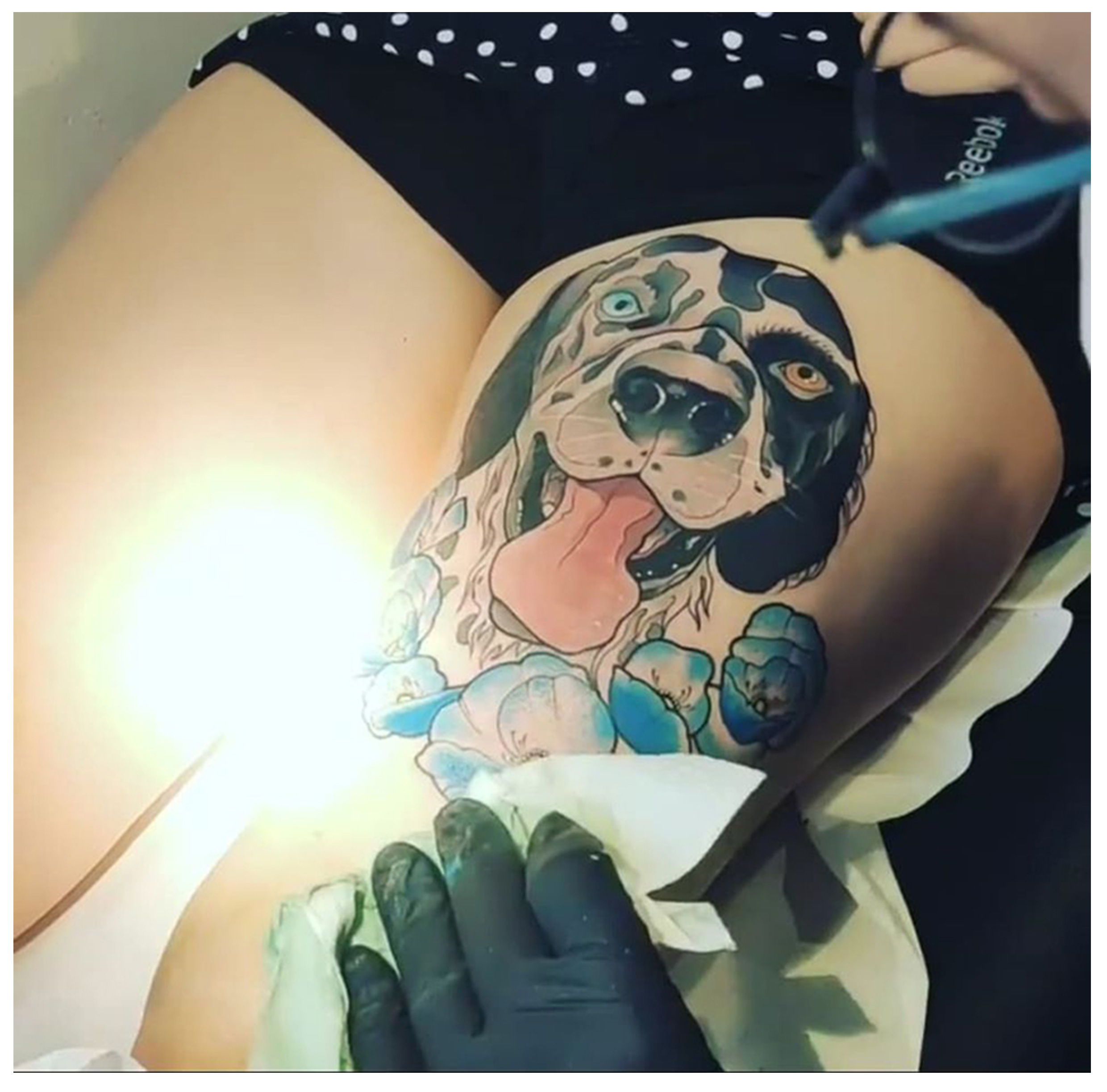 portraits-animaliers-ioda-philippehardouin-graphiste-graphiste-lemans-alençon