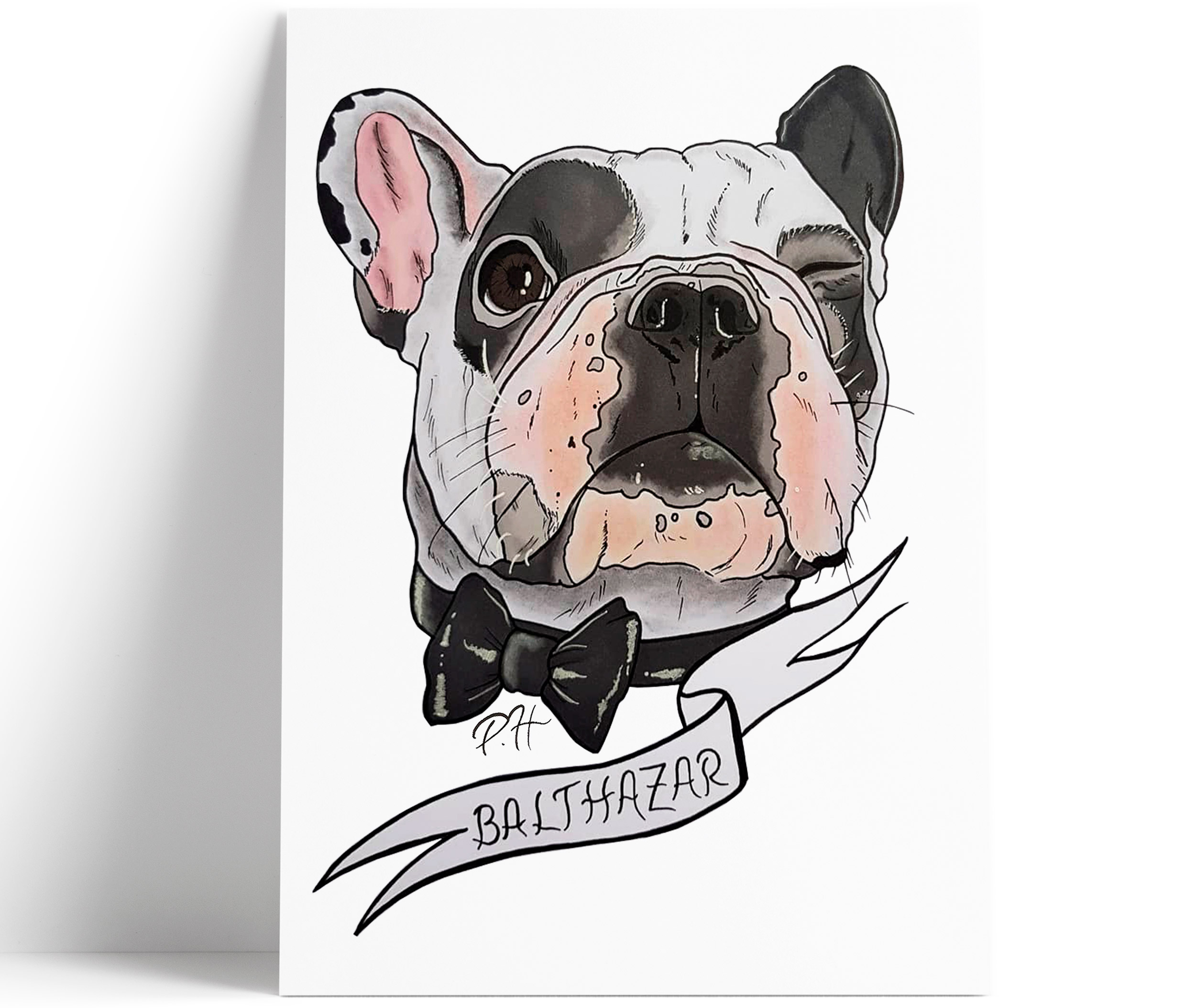 portraits-animaliers-balthazar-philippehardouin-graphiste-graphiste-lemans-alençon