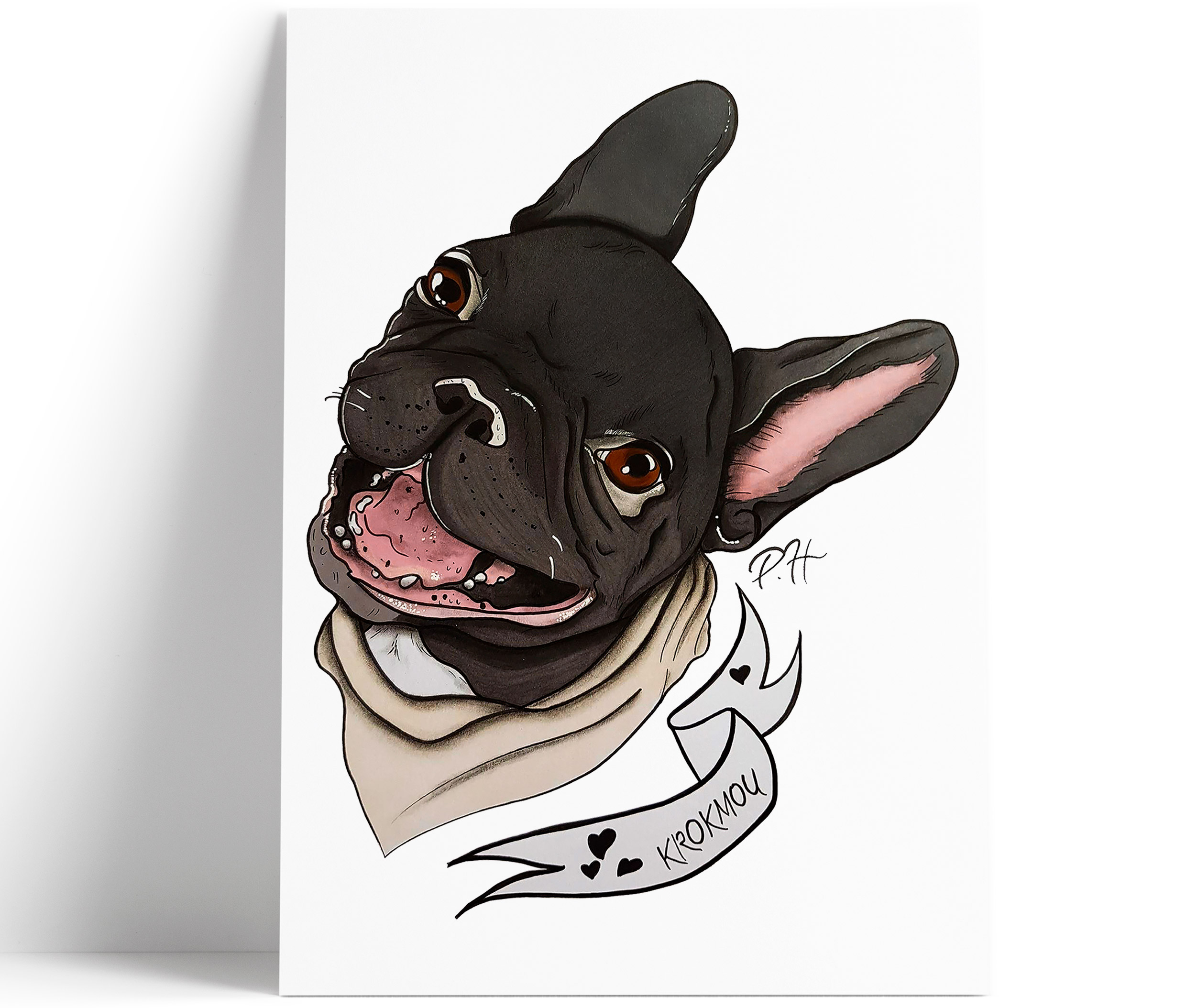 portraits-animaliers-kroukmou-philippehardouin-graphiste-graphiste-lemans-alençon