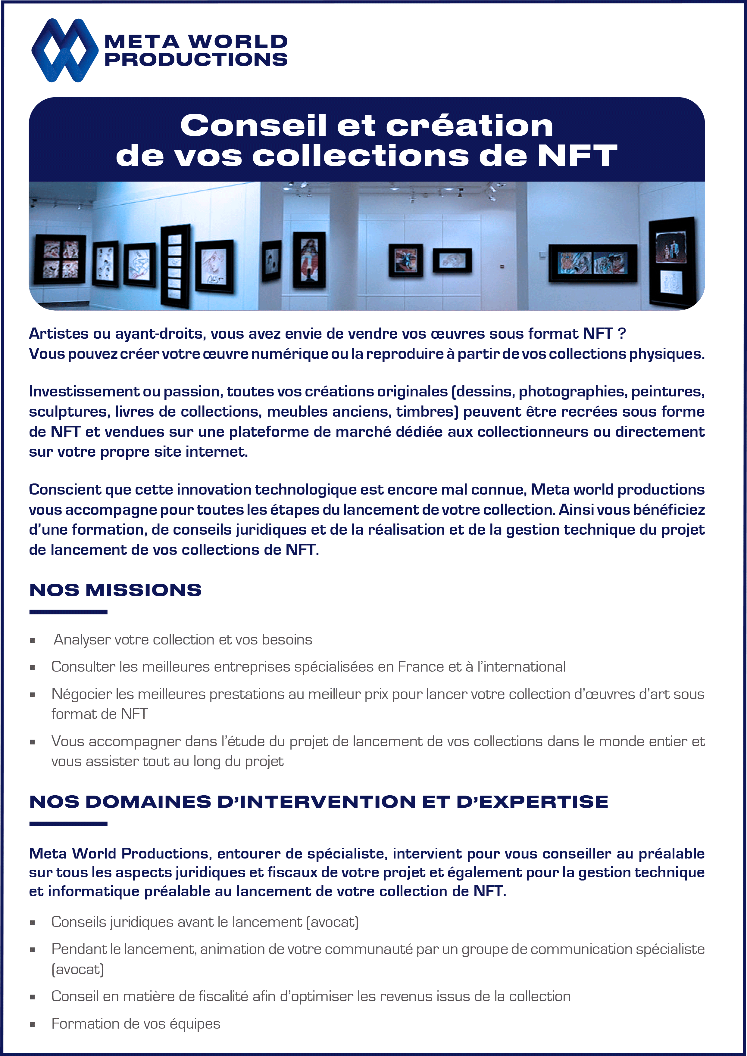 Meta-World-Productions-déclinaison-fiche-NTF-philippehardouin-infographiste-lemans-72-Alençon